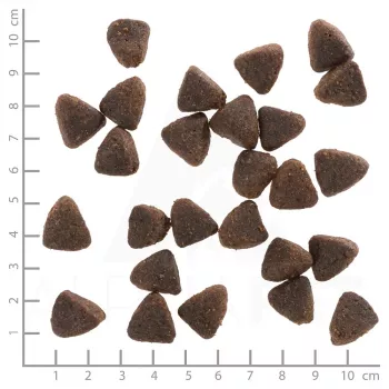 Sausas šunų maistas Wolfsblut Jack Rabbit 12,5 kg — be grūdų, triušienos skonio, 28% baltymų, 19% riebalų