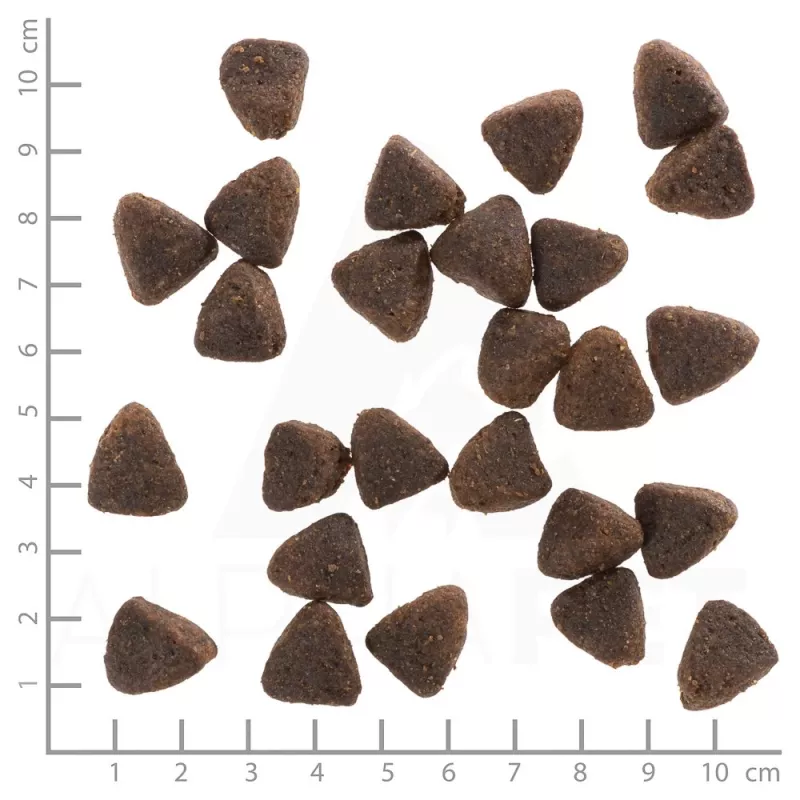 Sausas šunų maistas Wolfsblut Jack Rabbit 12,5 kg — be grūdų, triušienos skonio, 28% baltymų, 19% riebalų