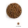 ACANA Senior - sausas šunų maistas - 11,4 kg