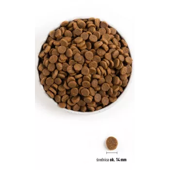 ACANA Senior - sausas šunų maistas - 11,4 kg