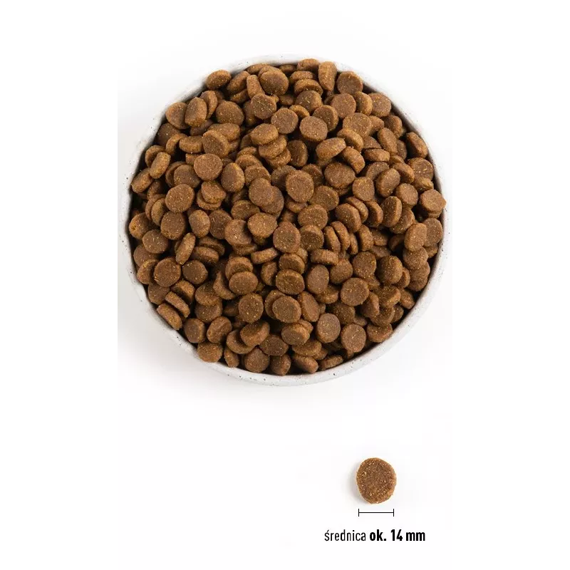 ACANA Senior - sausas šunų maistas - 11,4 kg