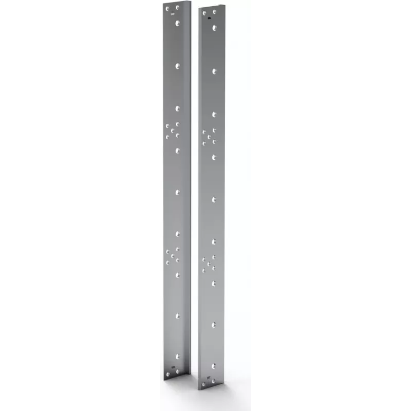 Schroff 24561798 serveris