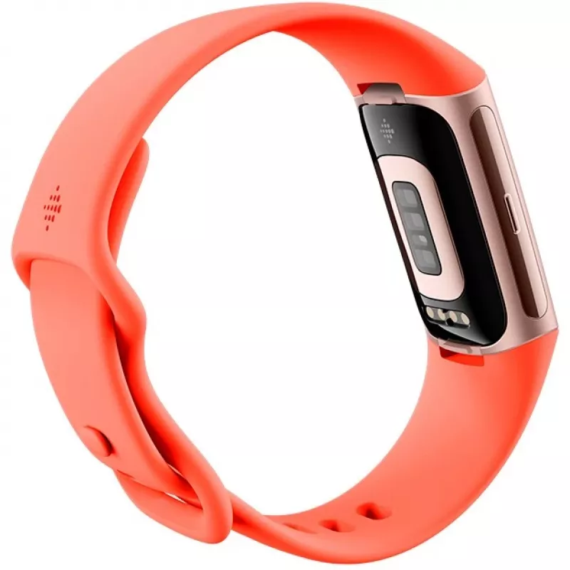 Fitbit GA05184-EU gaminys