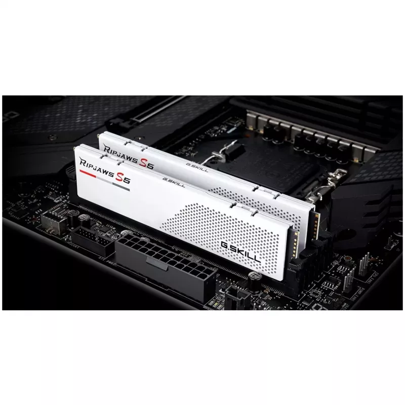G.Skill F5-6000J3036F24GX2-RS5W atminties modulis 48 GB 2 x 24 GB DDR5 5600 MT/s