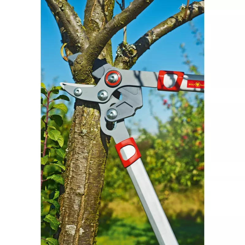 Genėjimo žirklės WOLF-Garten POWER CUT RS 650 BASIC PLUS