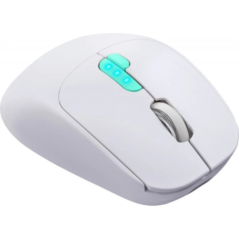 Pelė Defender NITTA MM-307 RF+BT OPTIC 1600dpi 6P WHITE