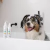 Kačių šampūnas VETEXPERT Clinic Care Hypo&Omega 250 ml — hipoalerginis drėkinamasis šampūnas su omega riebalų rūgštimis suaugusioms katėms, visiems kailio tipams