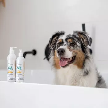 Kačių šampūnas VETEXPERT Clinic Care Hypo&Omega 250 ml — hipoalerginis drėkinamasis šampūnas su omega riebalų rūgštimis suaugusioms katėms, visiems kailio tipams