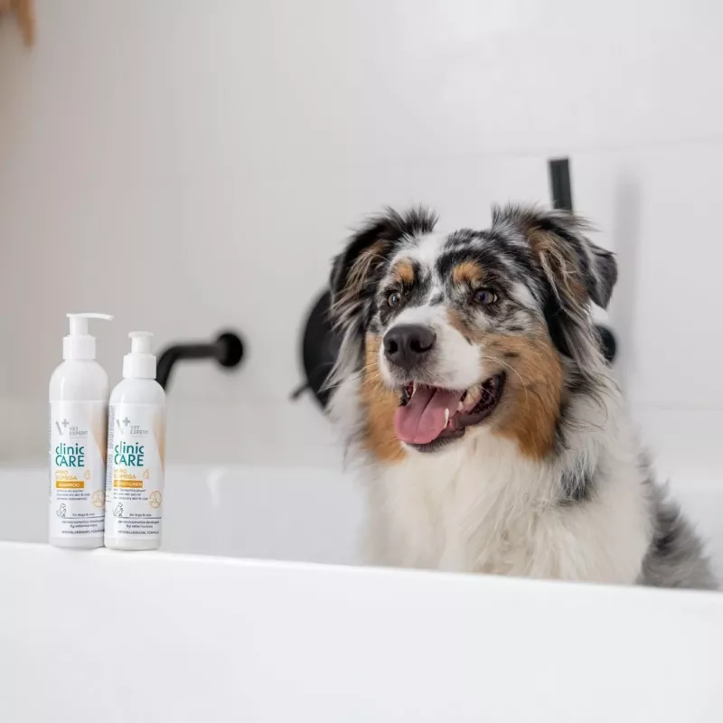 Kačių šampūnas VETEXPERT Clinic Care Hypo&Omega 250 ml — hipoalerginis drėkinamasis šampūnas su omega riebalų rūgštimis suaugusioms katėms, visiems kailio tipams