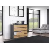 Topeshop M8 120 ANT/ART KPL komoda