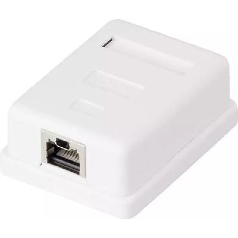 Tinklo lizdas Renkforce CAT 6 1 prievadas, baltas