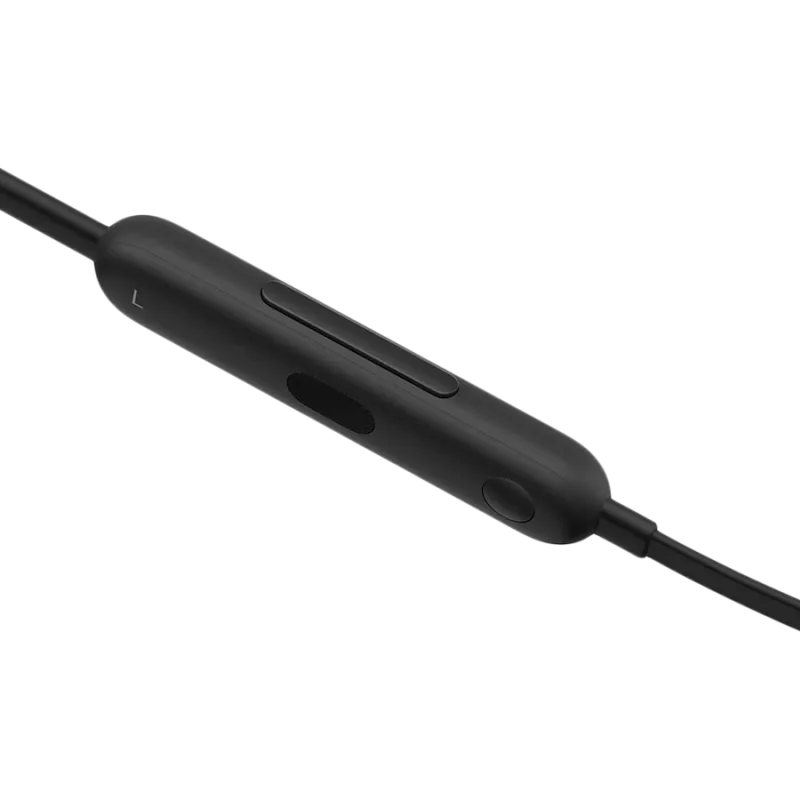 Apple Beats Flex ausinės