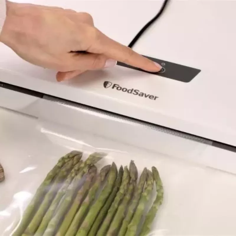 FoodSaver vakuuminis sandariklis VS0290X