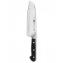 Buitinis peilis ZWILLING 38408-181-0