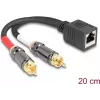 DeLOCK garso kabelis 0,2 m RJ-45 2 x RCA Juoda