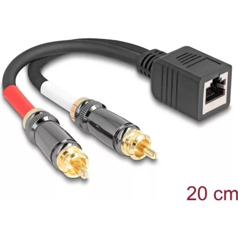 DeLOCK garso kabelis 0,2 m RJ-45 2 x RCA Juoda