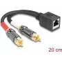 DeLOCK garso kabelis 0,2 m RJ-45 2 x RCA Juoda