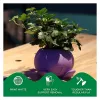 PLA 1,75mm CANDY 1kg PLA 1 yra 3D spausdintuvo gija iš Polmask. Specifikacijos Dydis: 1,75 mm Originalus Polmask produktas — MPN: PM70867 · EAN: