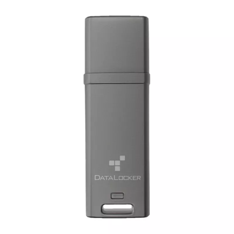 DataLocker 64GB DL GO 256BIT - Flash atmintinė - asorti (DLGO-064)