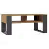 Top e shop Modern kavos staliukas 90×58×50 cm, antracito spalvos rėmas, matinės Artisan ąžuolo lentynos