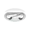 Ausinės Belkin Soundform Nano