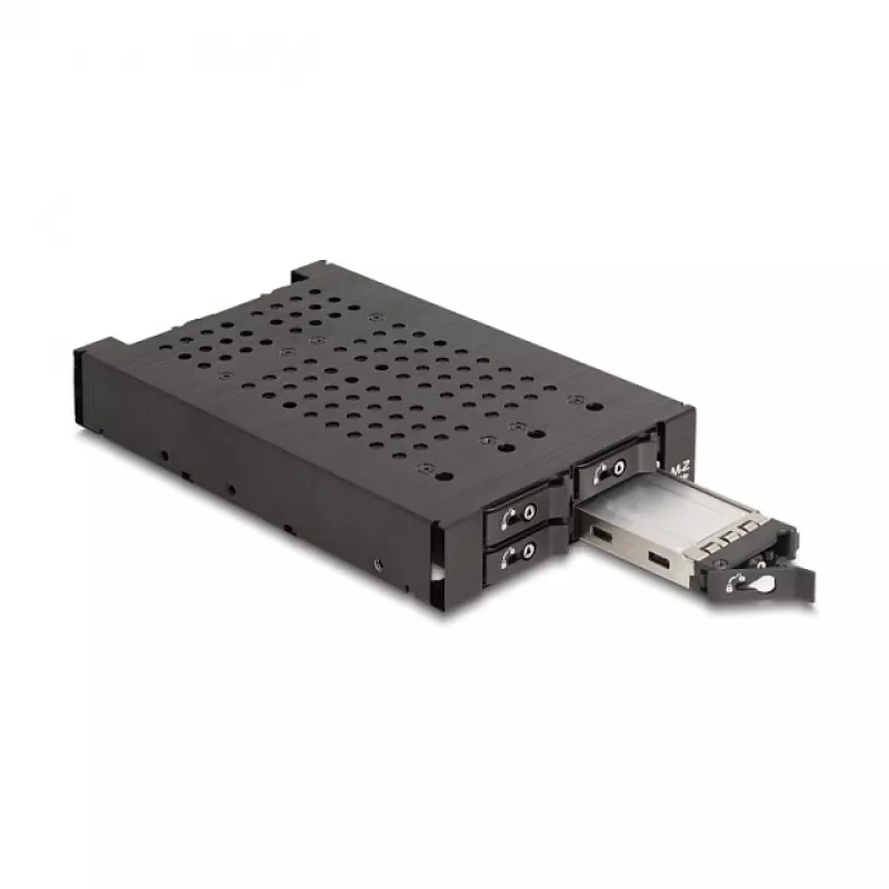 HDD Cage DeLOCK 47072 Rack Suderinama Metal 100mm Width