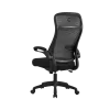 Onex Gaming Biuro kėdė | Skyflex Premium tinklelis | juodas