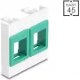 Sieninis 45x45 mm modulinis rėmelis DELOCK Easy 2x Keystone laikikliams, baltas/žalias