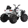 Ride-on Protector Quad, Kinderfahrzeug Balta, 12 V