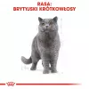 Sausas kačių maistas Royal Canin British Shorthair Adult 10 kg — paukštiena, baltymai 34%, riebalai 19%
