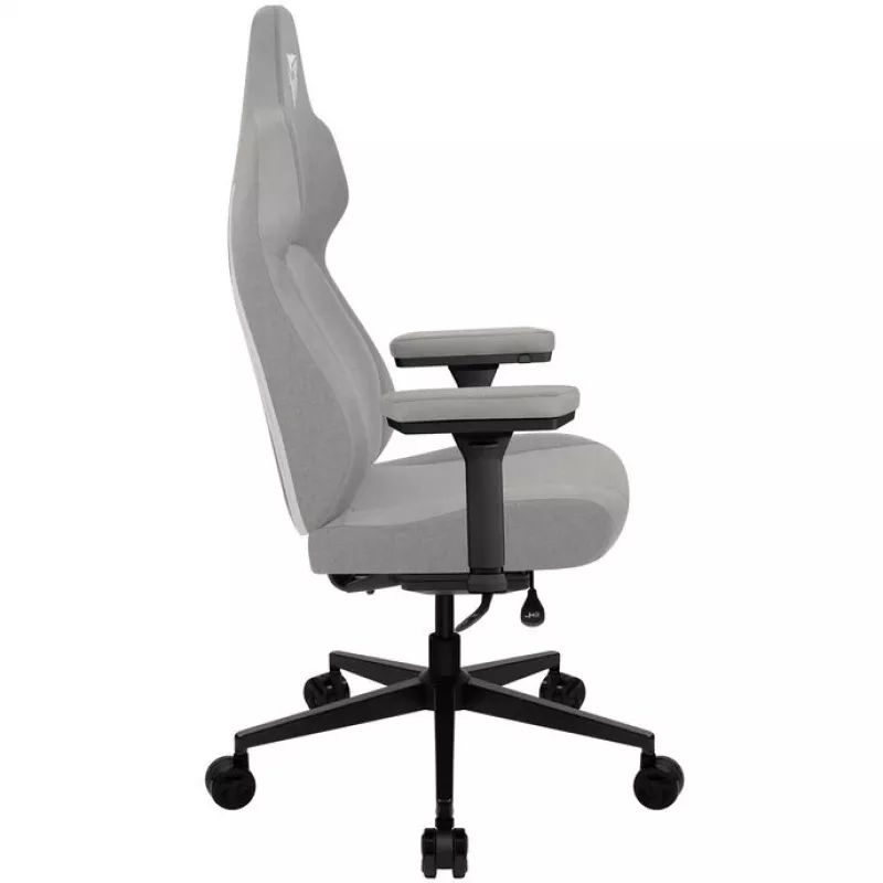 Ergonomic žaidimų kėdė ThunderX3 Core Smart - Loft