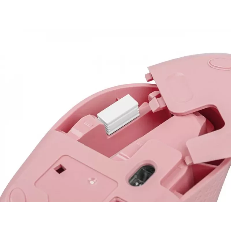 NATEC STORK pelė Namams Abiem rankoms tinkama RF Belaidė + USB A tipo Optinė 1600 DPI