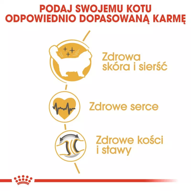 Sausas kačių maistas Royal Canin Ragdoll Adult 2 kg — vištiena, 32 % baltymų, 18 % riebalų