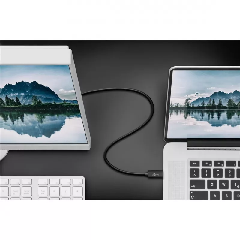 Goobay USB-C į DisplayPort. M/M. Juoda