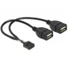 Vidinis USB laidas DeLOCK 83292 0,2 m, lizdas–lizdas