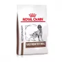 ROYAL CANIN Gastrointestinal - sausas šunų ėdalas - 2kg
