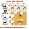 Royal Canin FBN Maine Coon Adult sausas kačių ėdalas, 4 kg