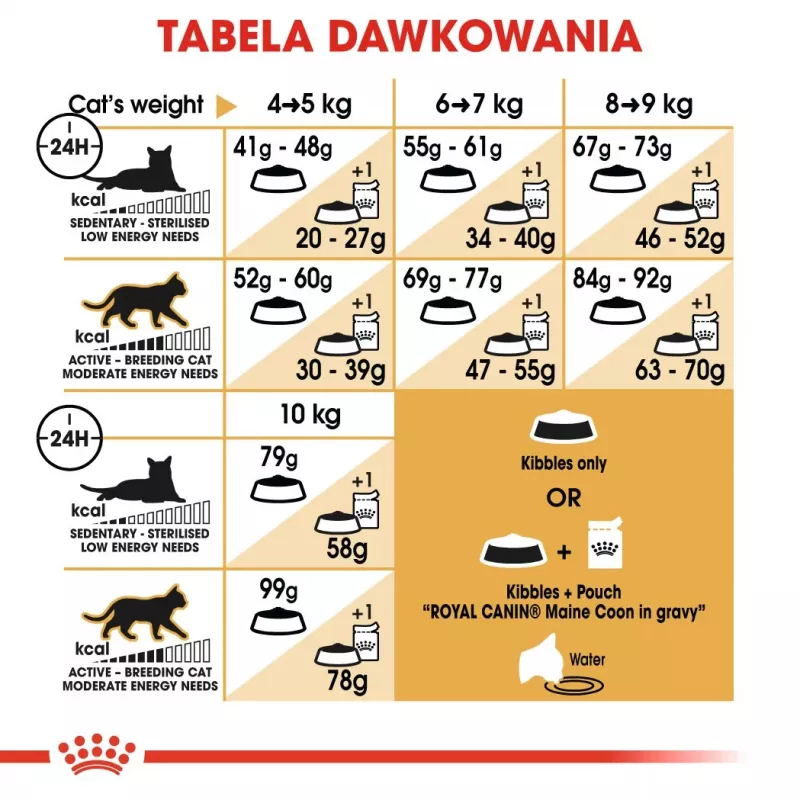 Royal Canin FBN Maine Coon Adult sausas kačių ėdalas, 4 kg