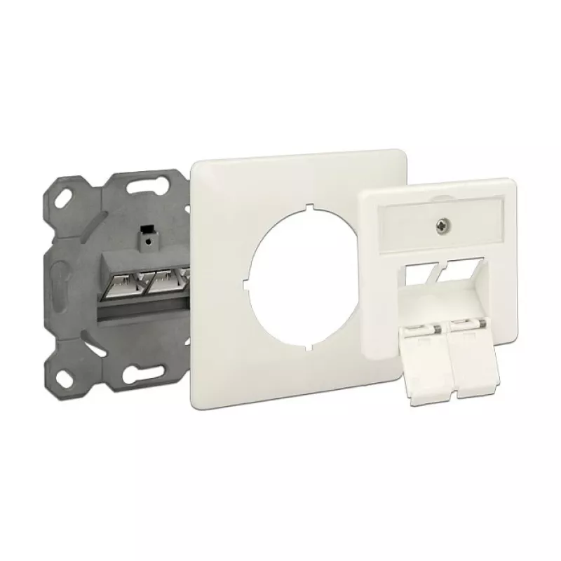 RJ-45 lizdas DeLOCK 86195