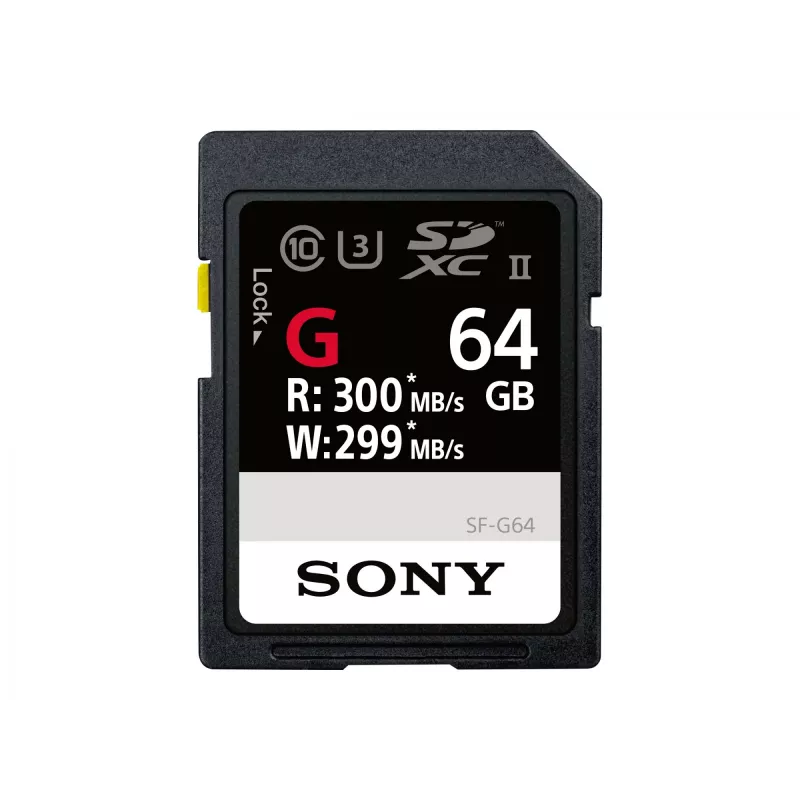 Sony SF-G64T/T1 atminties kortelė 64 GB SDXC UHS-II Class 10