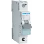 Hager MCS120 grandinės pertraukiklis C tipo 1 1 modulis (-iai) (MCS120)