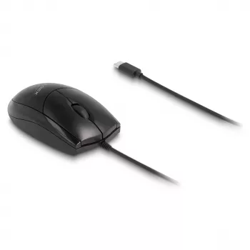 Pelė DeLOCK 12114 USB Type-C optinė abiem rankoms tinkama