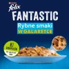 Šlapias kačių maistas Purina Nestlé FELIX Fantastic žuvies skoniai — tunas, lašiša, menkė, plekšnė, 12×85 g paketėliai