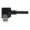 StarTech.com 2m USB 2.0 A į stačiu kampu dešinį B kabelį - M/M, 2 m, USB A, USB B, USB 2.0, 0.48 Gbit/s, juodas