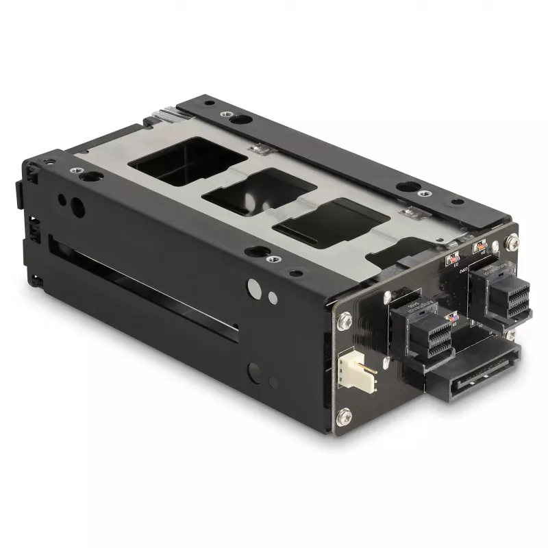 Laikmenos dėklo laikiklis DeLOCK plonas Bay Mobile Rack 2 x 2,5 col. U.2 NVMe SSD juodas