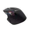Belaidė pelė Tellur TLL491261 USB