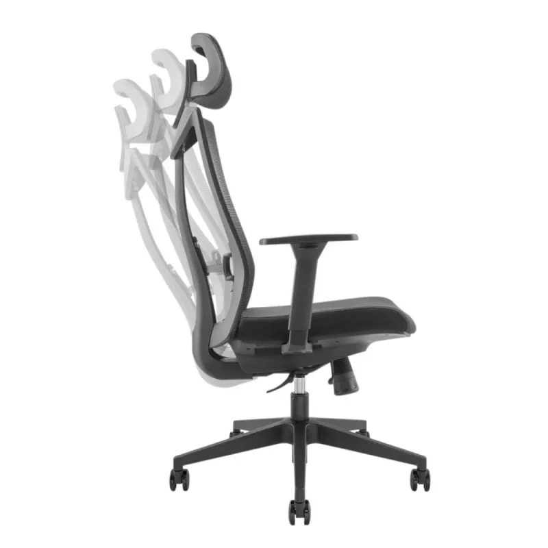 Ergonominė aukščiausios kokybės kėdė Ergo Officer ER-414