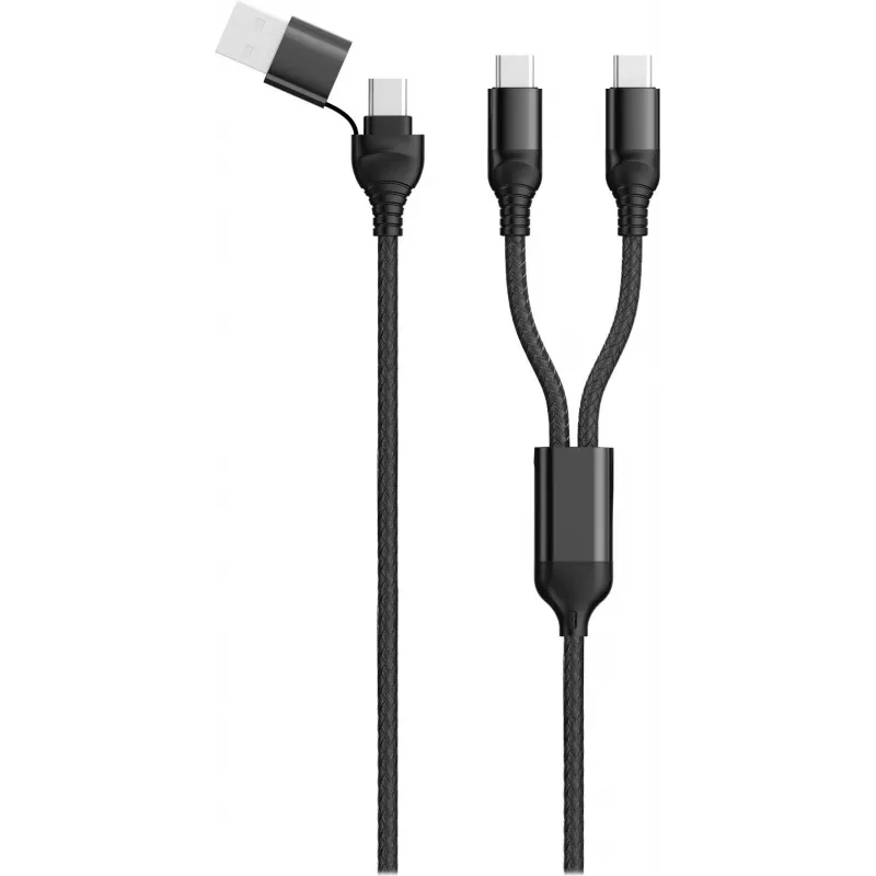 USB laidas 2GO 797367 1,2 m USB A/USB C 2 x USB C juodas