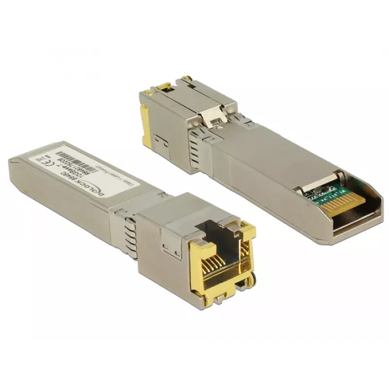 Delock 86460 tinklo įrenginys