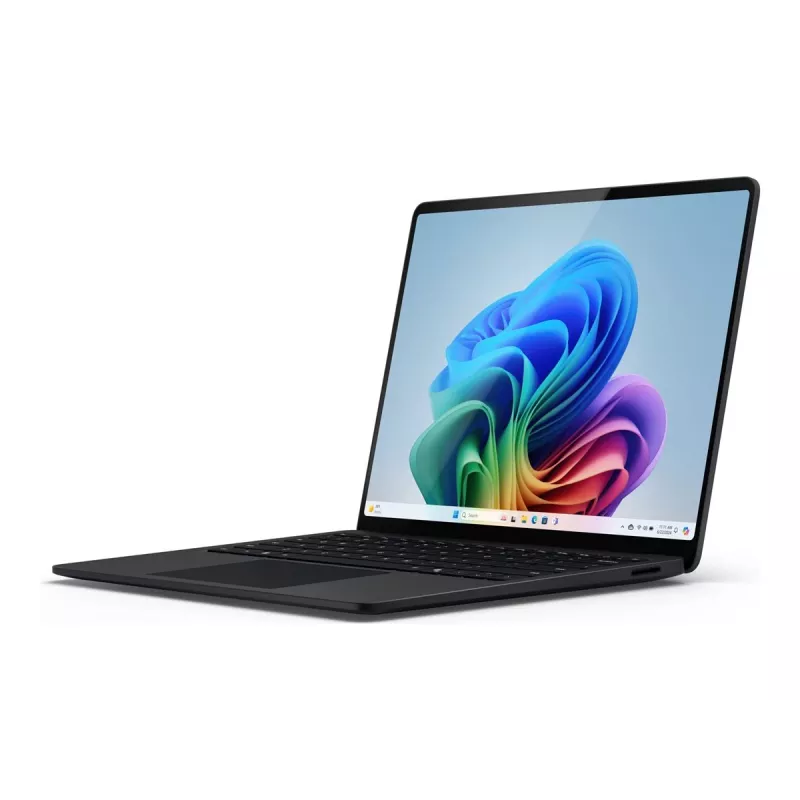 Microsoft ZHH-00050 kietojo kūno diskas juodas